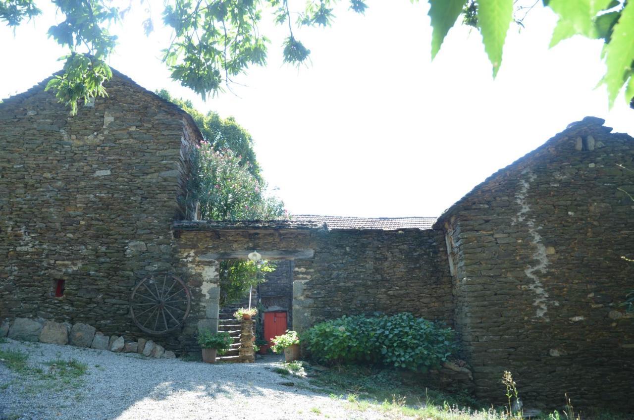 Bed and Breakfast Le petit nid  à Sablieres Extérieur photo